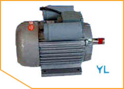 YL系列双值电容单相异步电动机